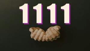1111 значение